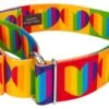 Country Brook Petz 1 1/2 Inch Rainbow Hearts Martingale Dog Collar