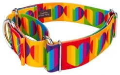 Country Brook Petz 1 1/2 Inch Rainbow Hearts Martingale Dog Collar