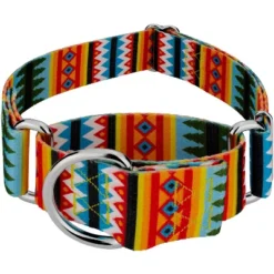 Country Brook Petz 1 1/2 Inch Summer Pines Martingale Dog Collar -Pet Supplies Online GUEST fb8e7401 a338 46f1 bdfb daabd174aa4a