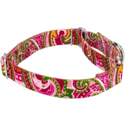 Country Brook Petz Pink Paisley Martingale Dog Collar And Leash -Pet Supplies Online GUEST fc2e7bb8 dbed 45b2 94fc 74070b1bf5b5