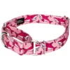 Country Brook Petz Pink Sharks Martingale Dog Collar And Leash -Pet Supplies Online GUEST fc6e4d9e 20fd 47f4 b98e 4c388b0cc89d