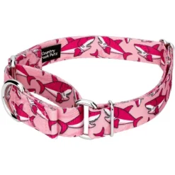 Country Brook Petz Pink Sharks Martingale Dog Collar And Leash