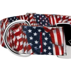 Country Brook Petz 1 1/2 Inch Premium Patriotic Tribute Dog Collar -Pet Supplies Online GUEST fc7c951a 1605 4ef2 a8d3 5ff54d691299