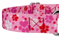 Country Brook Design Puppy Love Martingale Dog Collar -Pet Supplies Online GUEST fce6d3b2 4eb1 4359 a7dc 4c2cf74a17da