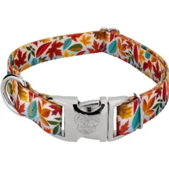 Country Brook Petz Premium Brisk Autumn Dog Collar -Pet Supplies Online GUEST fd8c69ad b6d4 48ea 956c b9e623eb9c80