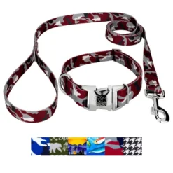 Country Brook Petz Premium Dog Collar And Leash - Sports And Athletics Collection -Pet Supplies Online GUEST fdab29e3 0667 49bd b897 c60b6c17ad11