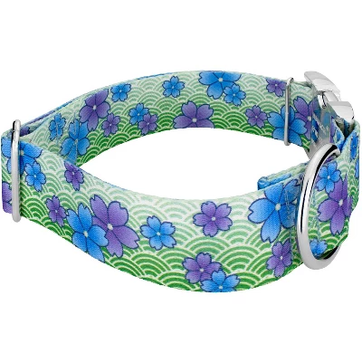 Country Brook Petz HossFit Jr Wide Premium Dog Collar - Spring Collection 5 Country Brook Petz HossFit Jr Wide Premium Dog Collar - Spring Collection - Image 3