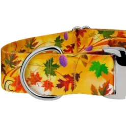 Country Brook Petz HossFit Jr Wide Premium Dog Collar - Awesome Autumn Collection -Pet Supplies Online GUEST fff10b3b 8361 45a9 b77b 9e7861223c57