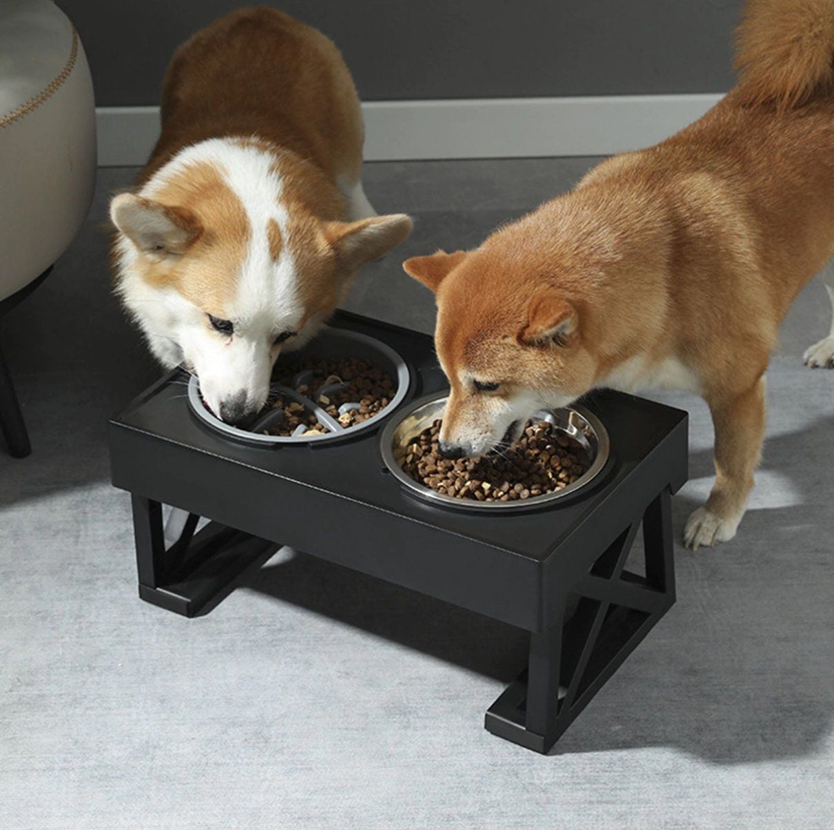 Pet Supplies Online -Pet Supplies Online img 5620 abb736cdf4364730b02db94d786860ef master